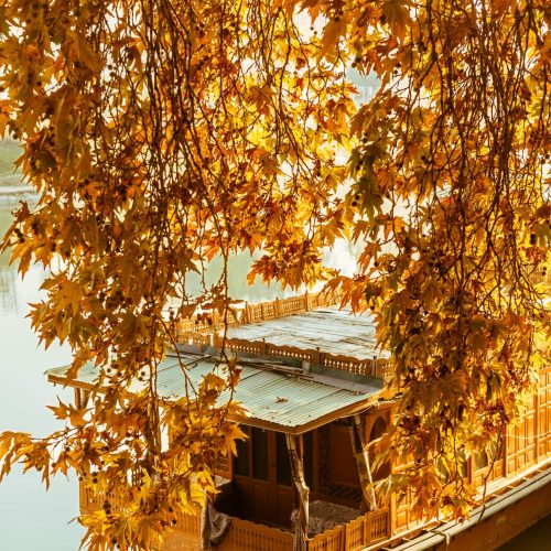 amaan-abid-e-RDZgg7948-unsplash amaan-abid-e-RDZgg7948-unsplash